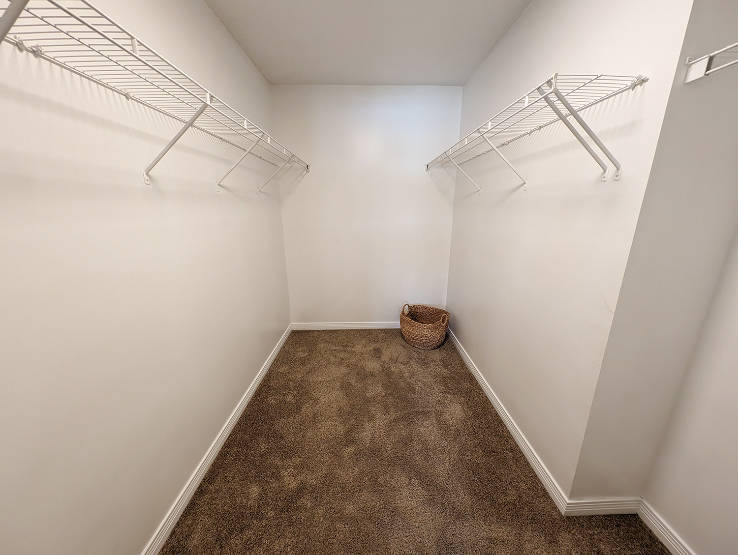 1220 Springfield Drive Primary Closet