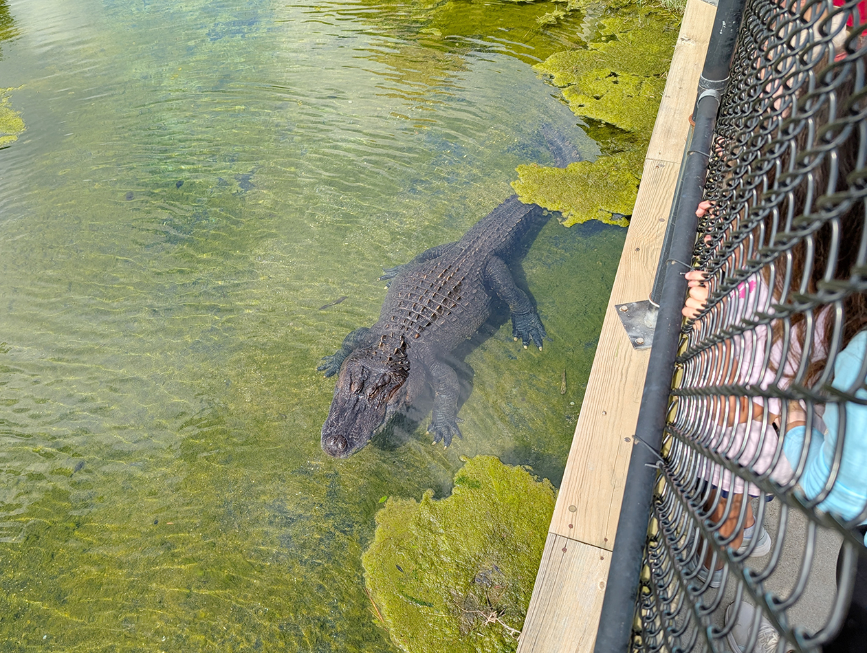 Alabama Gulf Coast Zoo